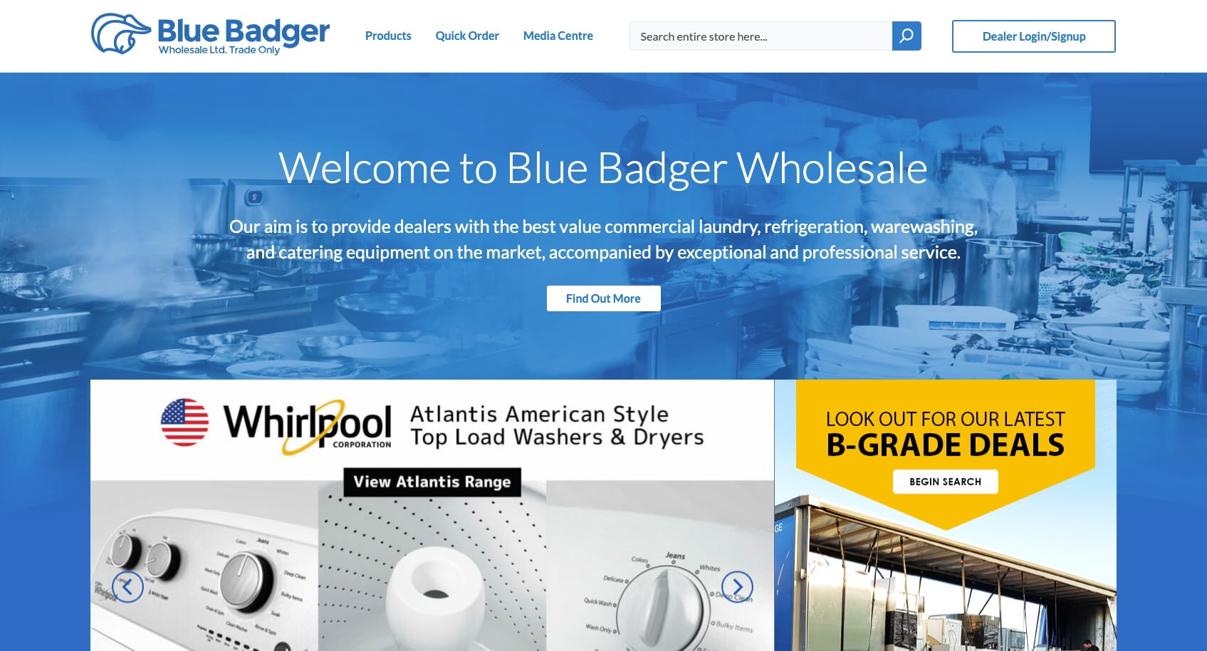 HubSpot and Magento Integration: A Complete Guide for eCommerce Blue Badger website screenshot