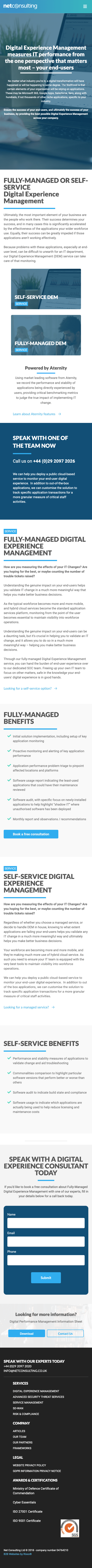 NetConsulting B2B Lead Generation & CRO NetConsulting B2B Lead Generation & CRO