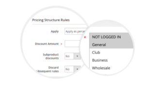 Magento B2B Individual Customer Pricing