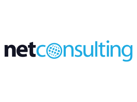 net consulting