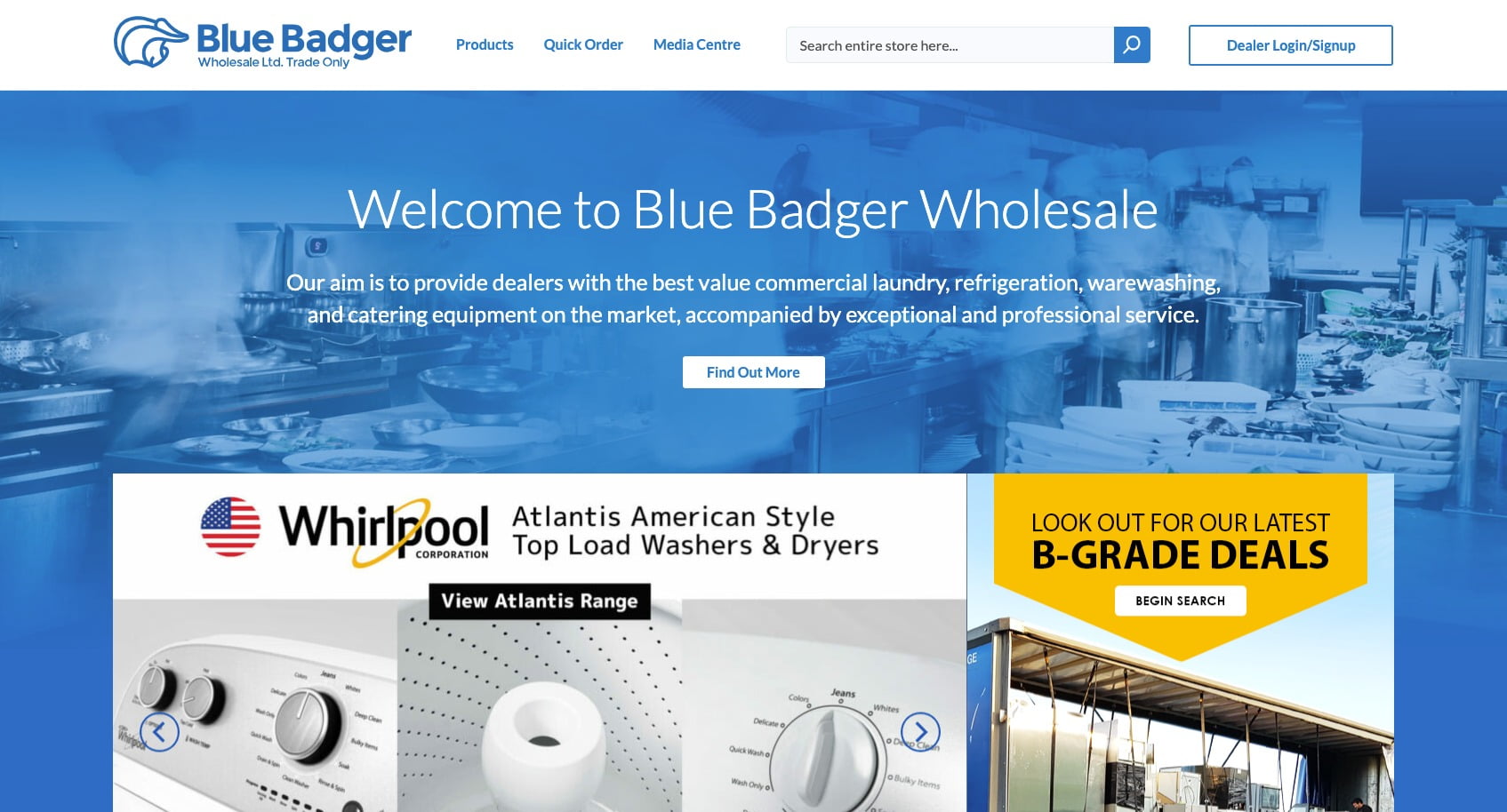 Blue Badger website screenshot