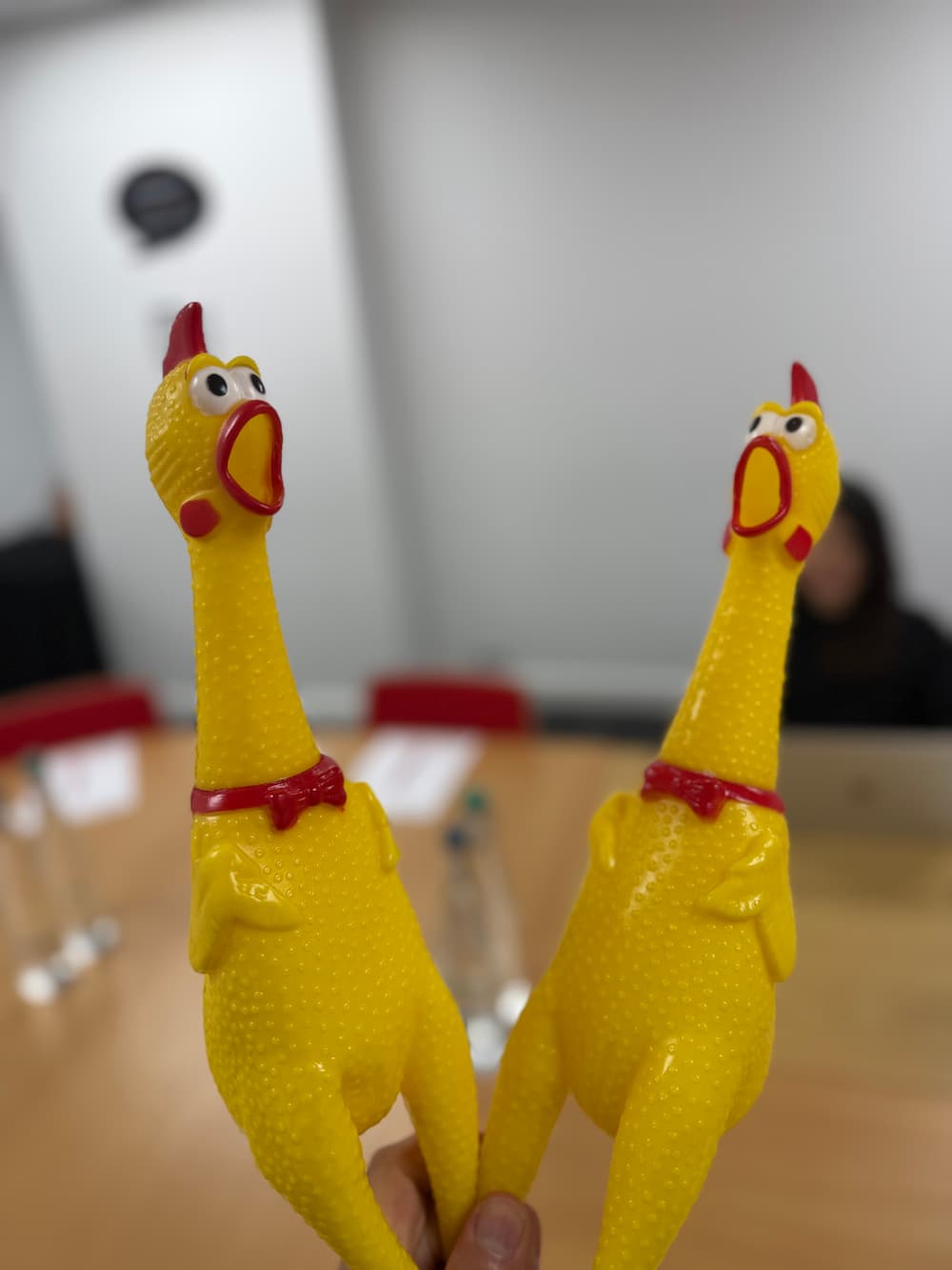 Eggs before chickens Eggs before chickens