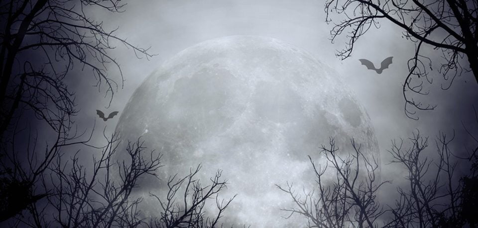 Blue Buffalo | Capturing Creepy Cuteness To Engage Pet Owners Across America