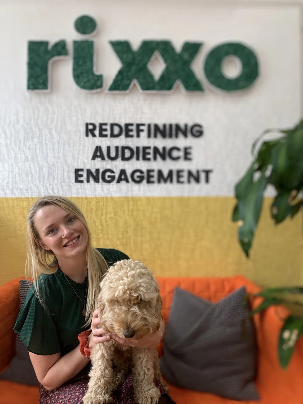 about-rixxo about-rixxo