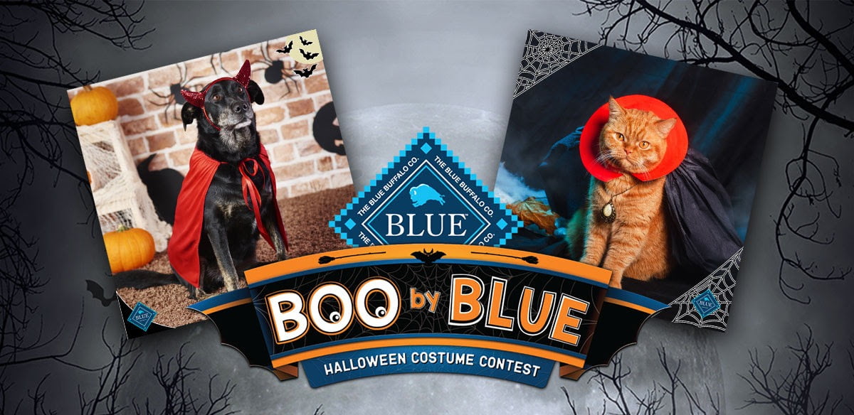 Blue Buffalo Rixxo Blue Buffalo Rixxo